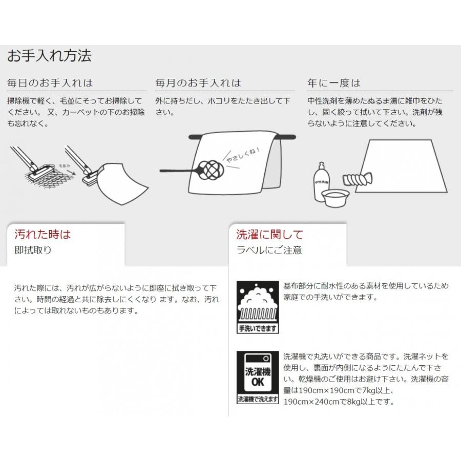 ジオーニ 190×190cm 正方形 ラグ カーペット 日本製 オールシーズン シャギー ホットカーペット 床暖房対応 北欧風 省エネ 節電 エコ 絨毯 アルミ おしゃれ | プレーベル | 02