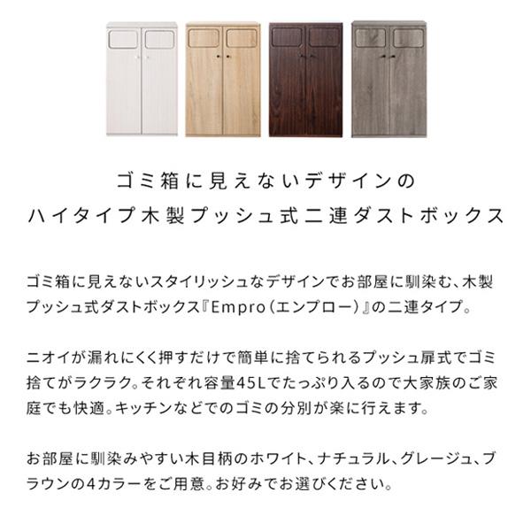 楽天市場】隠せる ゴミ箱 45リットル 2分別 扉式 幅60.5 奥行43