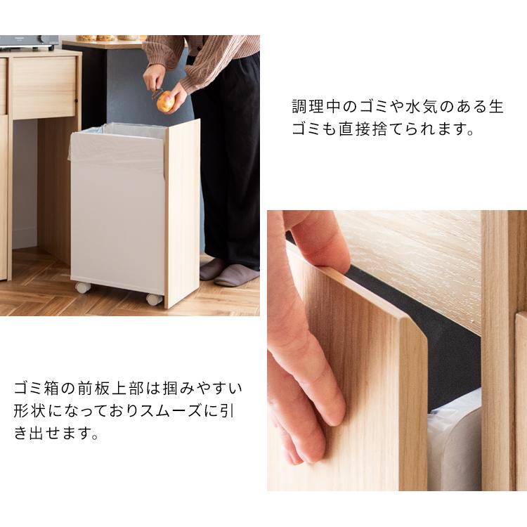 ゴミ箱 ごみ箱 45リットル 分別 DB-F2100 おしゃれ シンプル ナチュラル キャスター Helios ヘリオス 木製 木目調 プッシュ式 ダストボックス 45l モダン 北欧 |  | 08