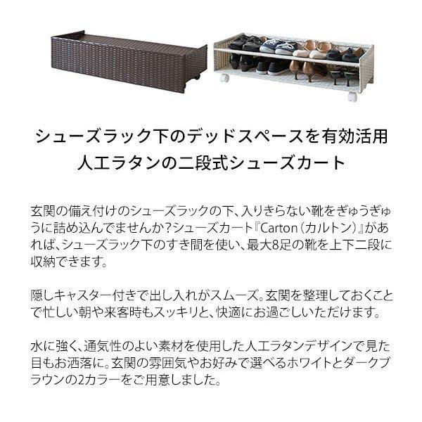 下駄箱 収納ラック ラタン風 シューズカート 靴箱 SC-800 Carton
