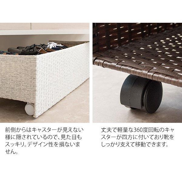下駄箱 収納ラック ラタン風 シューズカート 靴箱 SC-800 Carton