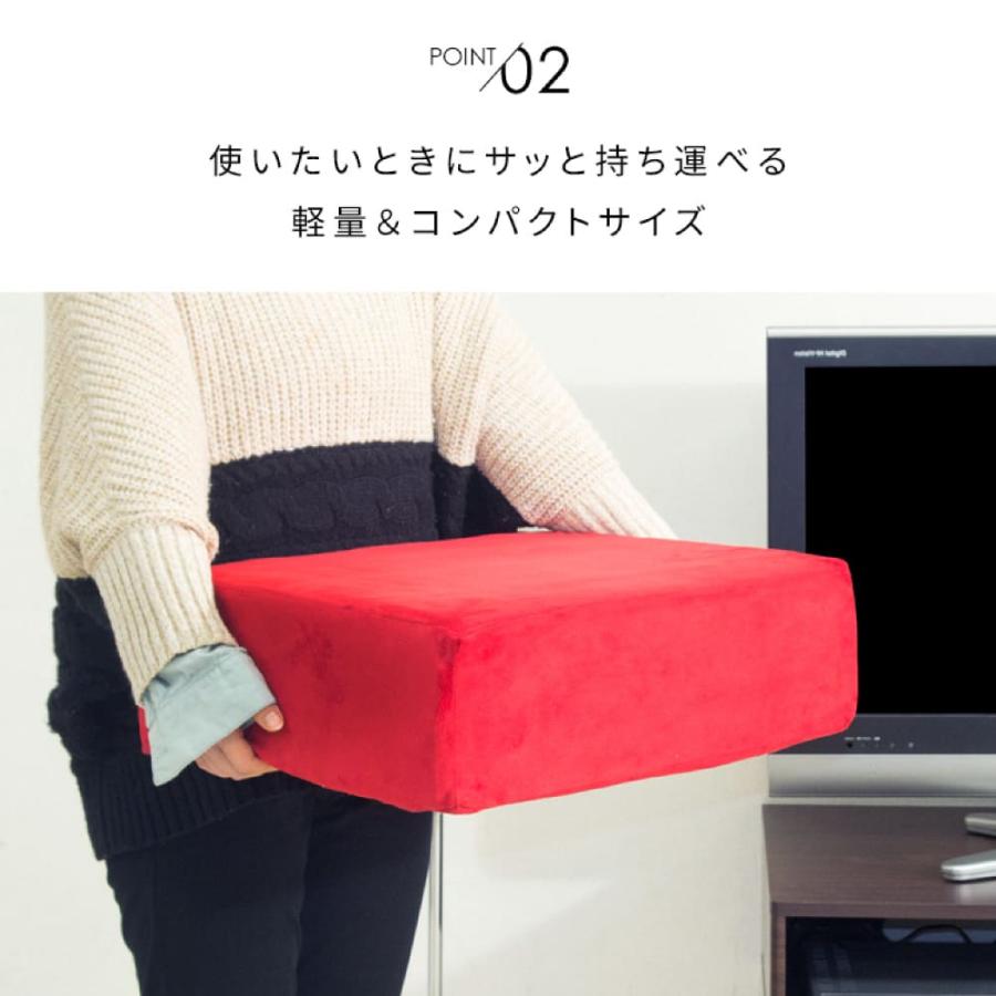 座布団 クッション リビング CN-50R CN-60R CN-40RB アマレット 低反発