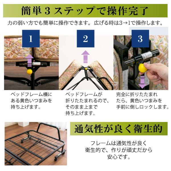 パンテオン フランスベッド N-71A N-71B 折りたたみベッド パンテオン フランスベッド N-71A N-71B 折りたたみベッド