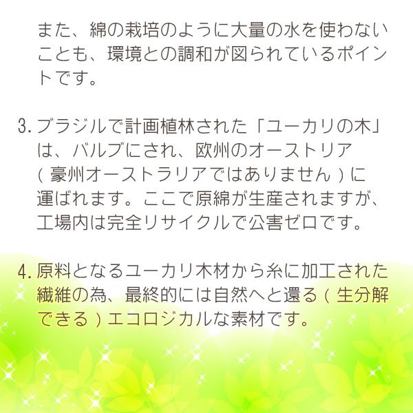 Sealy（シーリー） ラテックスピロー アナトミック