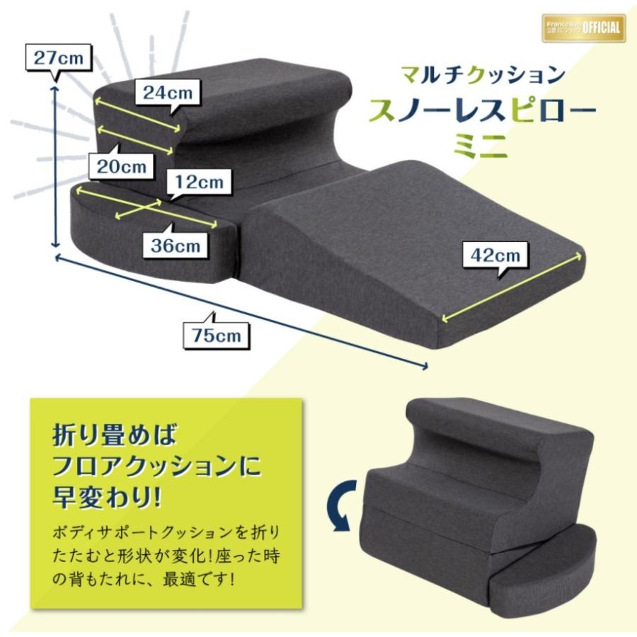 フランスベッド（FRANCEBED） いびき対策枕 スノーレスピローミニ