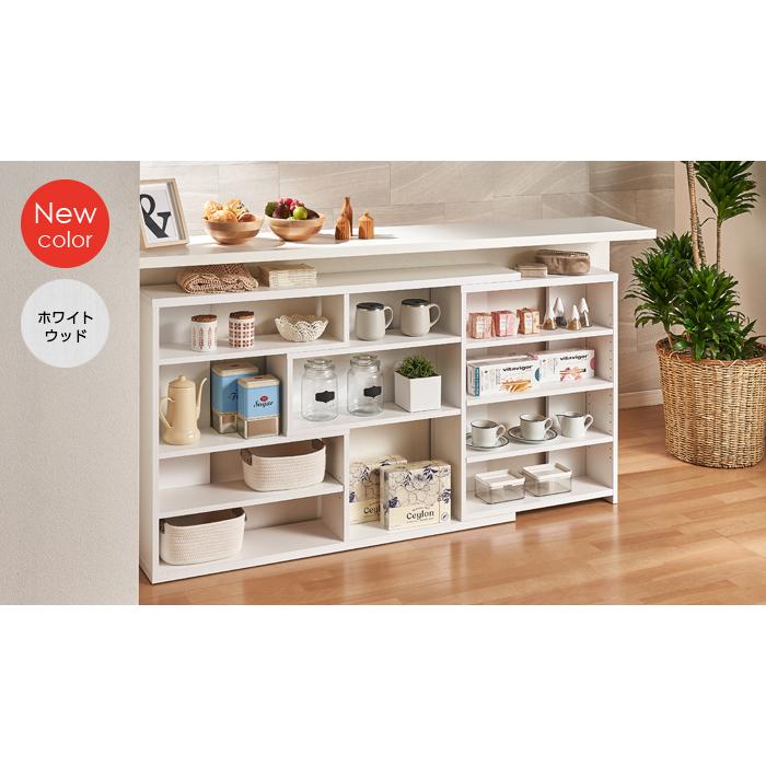 大洋（TAIYO） 幅伸縮式 ECラック 奥行19.3cm 高さ80cm ECR8012S