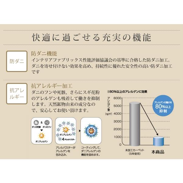 ラグ おしゃれ 防ダニ 消臭 防炎 抗アレルギー機能付きフェイクファーラグ ロジェ 江戸間4.5帖サイズ 261×261cm｜comodocrea｜14