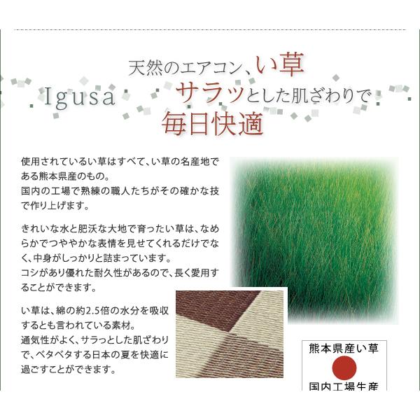 ラグ おしゃれ 純国産ブロック柄い草ラグ カジュール ウレタンなし 140×200cm_11