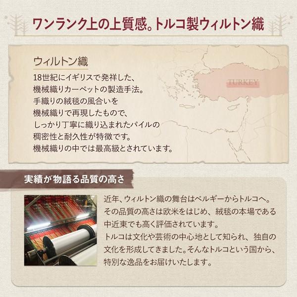 トルコ製ウィルトン織ギャッベデザインラグ ELISA エリザ 80×140cm_4