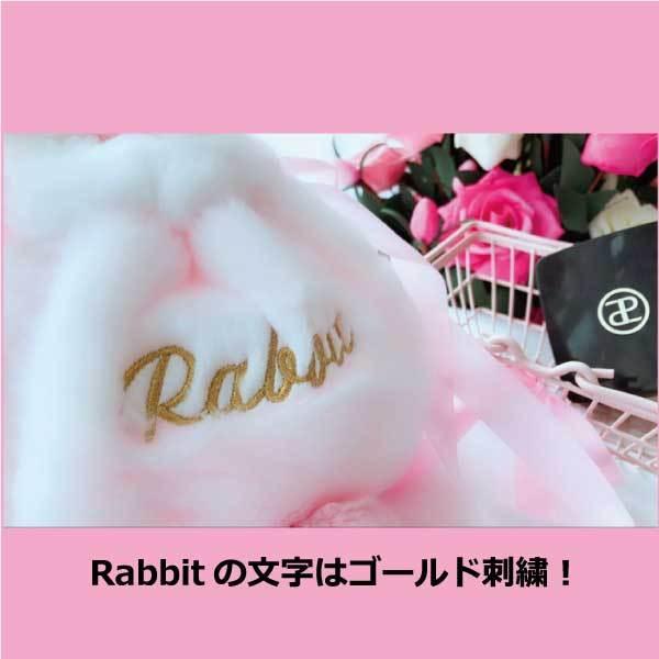 うさ巾着袋 うさぎ巾着 うさぎカバン 巾着袋 うさぎ袋 うさんぽバッグ