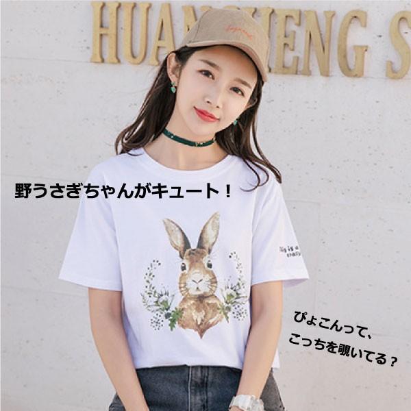 うさt うさぎtシャツ うさぎ Tシャツ うさぎ服 うさぎ柄 うさぎファッション うさぎグッズ うさぎ半袖 かわいい レディースtシャツ うさぎ夏服 Usat7 Comononopopo 通販 Yahoo ショッピング