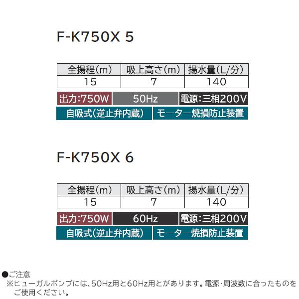 【F-K750X 6】 日立 非自動 ヒューガルポンプ ※60Hz 融雪・農事・池の水の給水向け 750W 三相200V 吸上高さ7m：揚水量140L/分（全揚程15mの時） | 日立 | 02