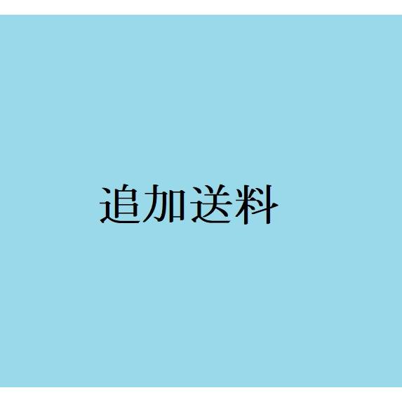 【専用】送料追加　1500円　 　※一般購入不可　特定のお客様向けのページです。 | 