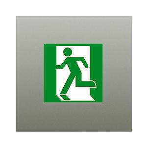 【DP-36863E】DAIKO 誘導灯パネル C級（10形） 防災照明 誘導灯 大光電機 | 大光電機