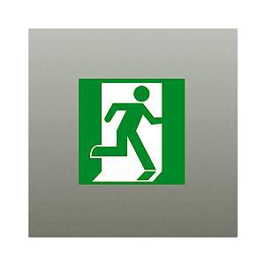 【DP-36864E】DAIKO 誘導灯パネル C級（10形） 防災照明 誘導灯 大光電機 | 大光電機