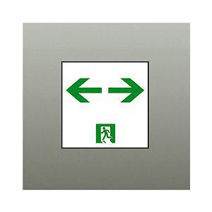 【DP-36867E】DAIKO 誘導灯パネル C級（10形） 防災照明 誘導灯 大光電機 | 大光電機