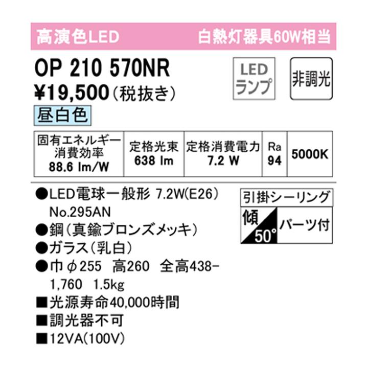 【OP210570NR】オーデリック ペンダントライト 60W LED 昼白色 調光器不可 ODELIC | ODELIC | 01