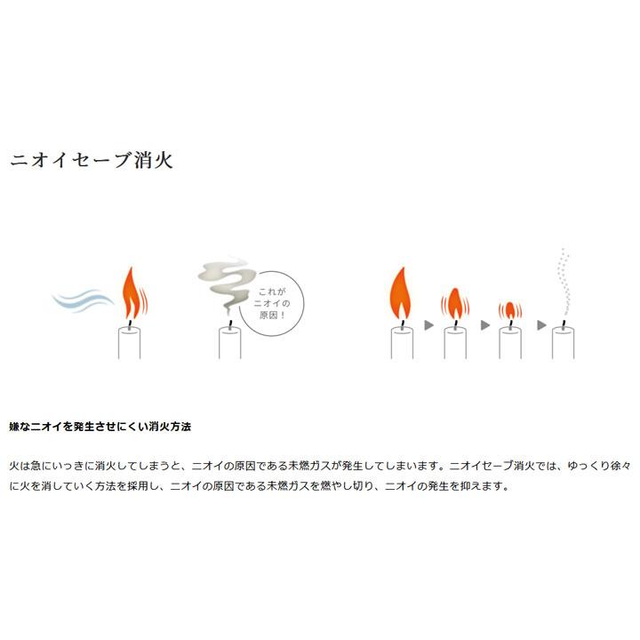 【在庫有り】トヨトミ 石油ストーブ RL-2524(G) ダークグリーン 暖房 ＼7〜9畳／ Rainbowシリーズ ランタン調対流形石油ストーブ | TOYOTOMI | 04