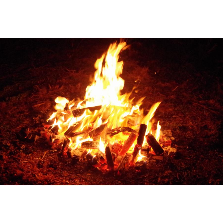 薪 ４０本 ２２kg 焚火 キャンプファイヤー アウトドア燃料 BBQ バーベキュー ソロキャンプ |  | 14