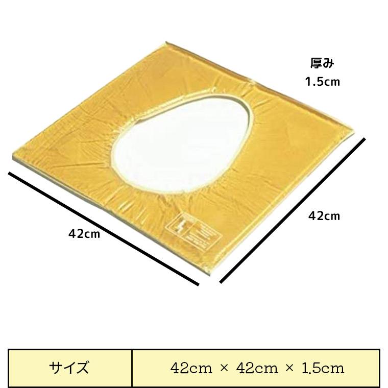 新品タグ付き【パーリーゲイツ】定番 ローカット ゴルフシューズ 紺 23.5cm 便座シート アクションジャパン 便座用アクションパッド カバー