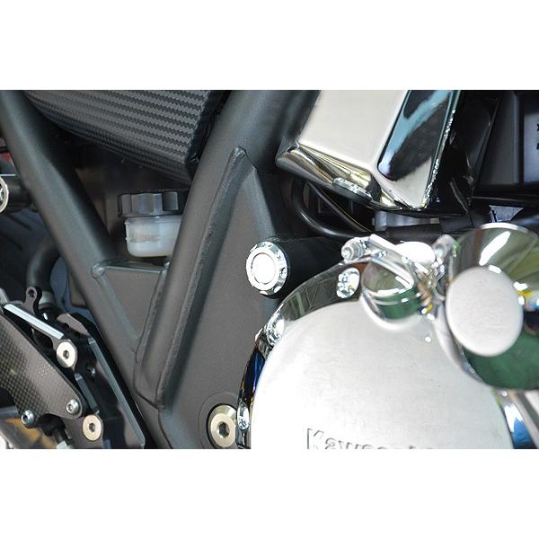 ZRX1200 DAEG フレームホールプラグ シルバー : Complsah Factory
