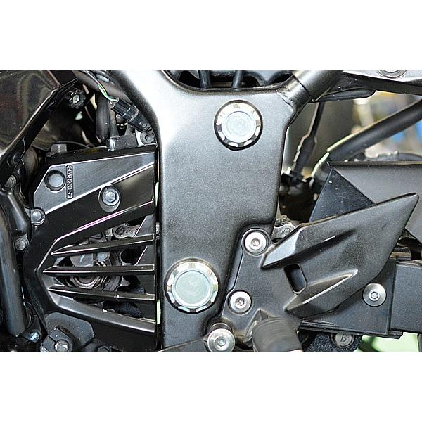 NINJA250R 10’〜12’ フレームホールプラグ しろがね色 フレームカバー-外装パーツ