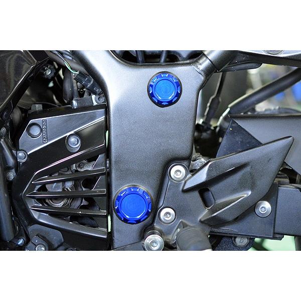 NINJA250R 10’〜12’ フレームホールプラグ 青碧 バイク-車、バイク、自転車