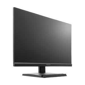 PRINCETON（プリンストン） 100Hz ADSパネル採用 23.8型ワイドカラー