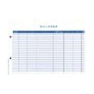 オービックビジネスコンサルタント 4123 単票振込入金明細表 メーカー在庫品