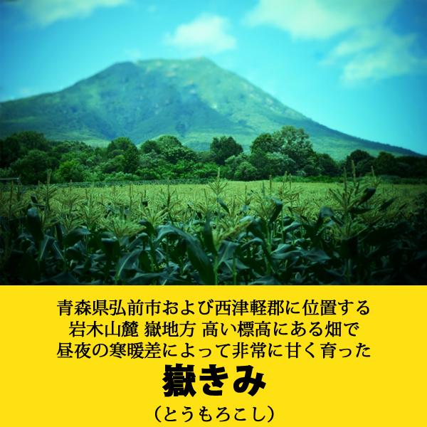 岩木屋 青森の味！ 【売切れ御免！】嶽きみ（とうもろこし）　真空パック　S　10本 特産品 |  | 01