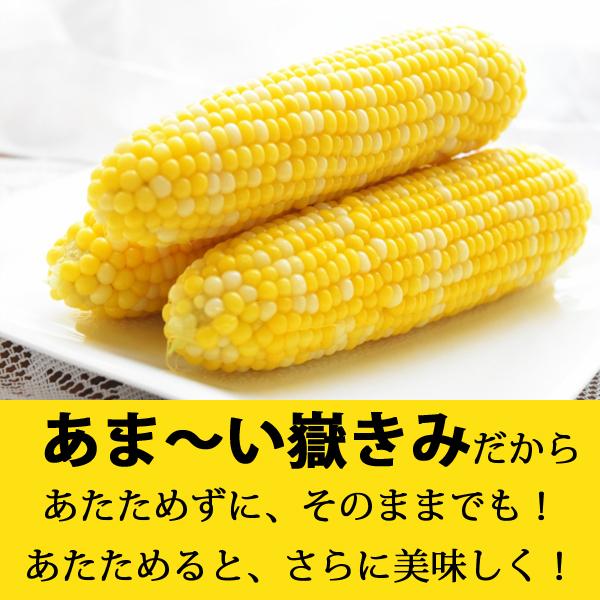 岩木屋 青森の味！ 【売切れ御免！】嶽きみ（とうもろこし）　真空パック　S　10本 特産品 |  | 04