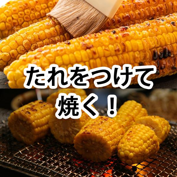 岩木屋 青森の味！ 【売切れ御免！】嶽きみ（とうもろこし）　真空パック　S　10本 特産品 |  | 05