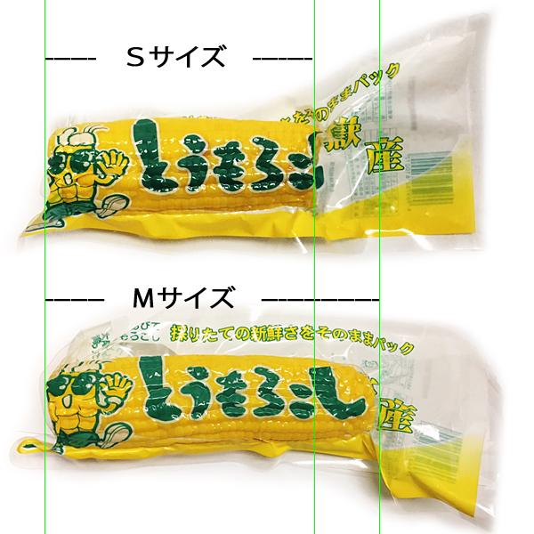 岩木屋 青森の味！ 【売切れ御免！】嶽きみ（とうもろこし）　真空パック　S　10本 特産品 |  | 08