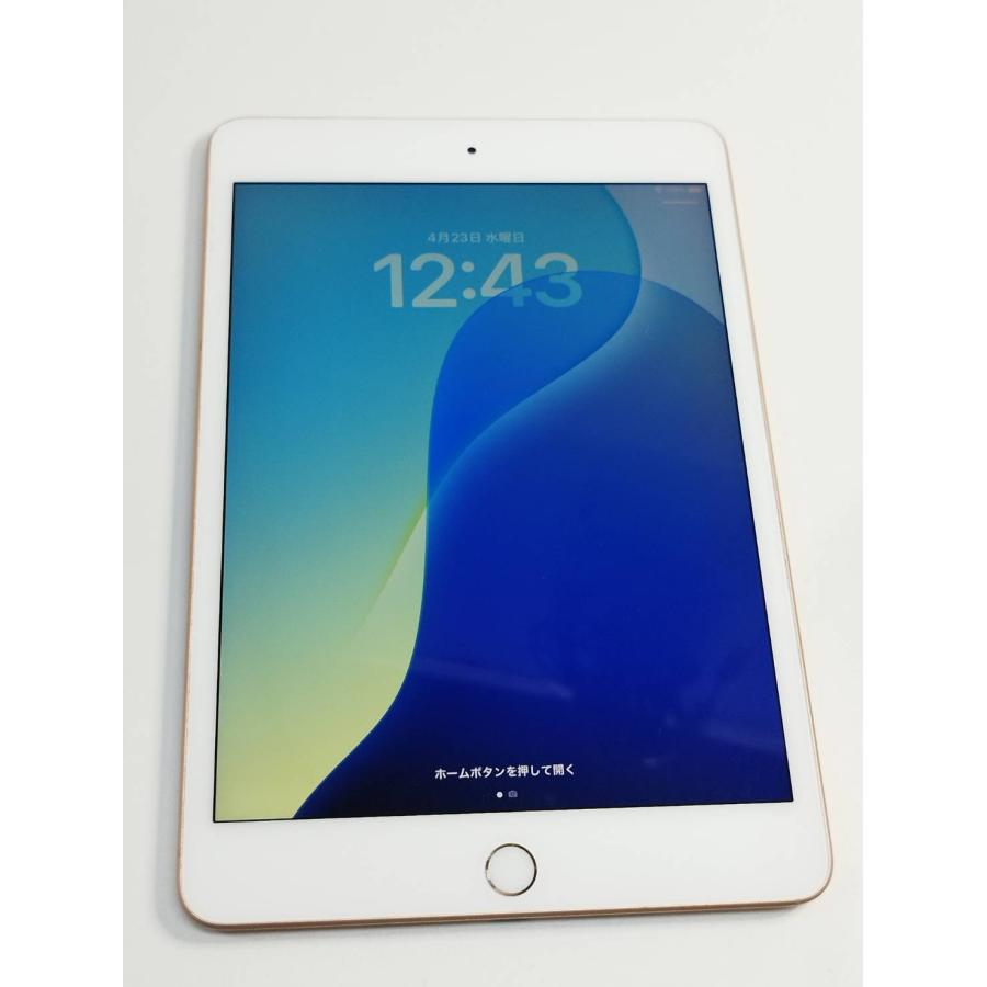 Wi-Fi/セルラー】iPad mini 第5世代/64GB/A2124〈MUX72J/A〉
