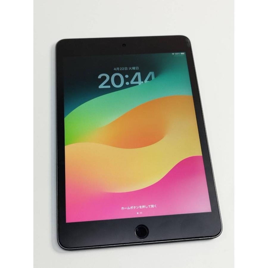 Wi-Fiモデル】iPad mini 第5世代/256GB/A2133