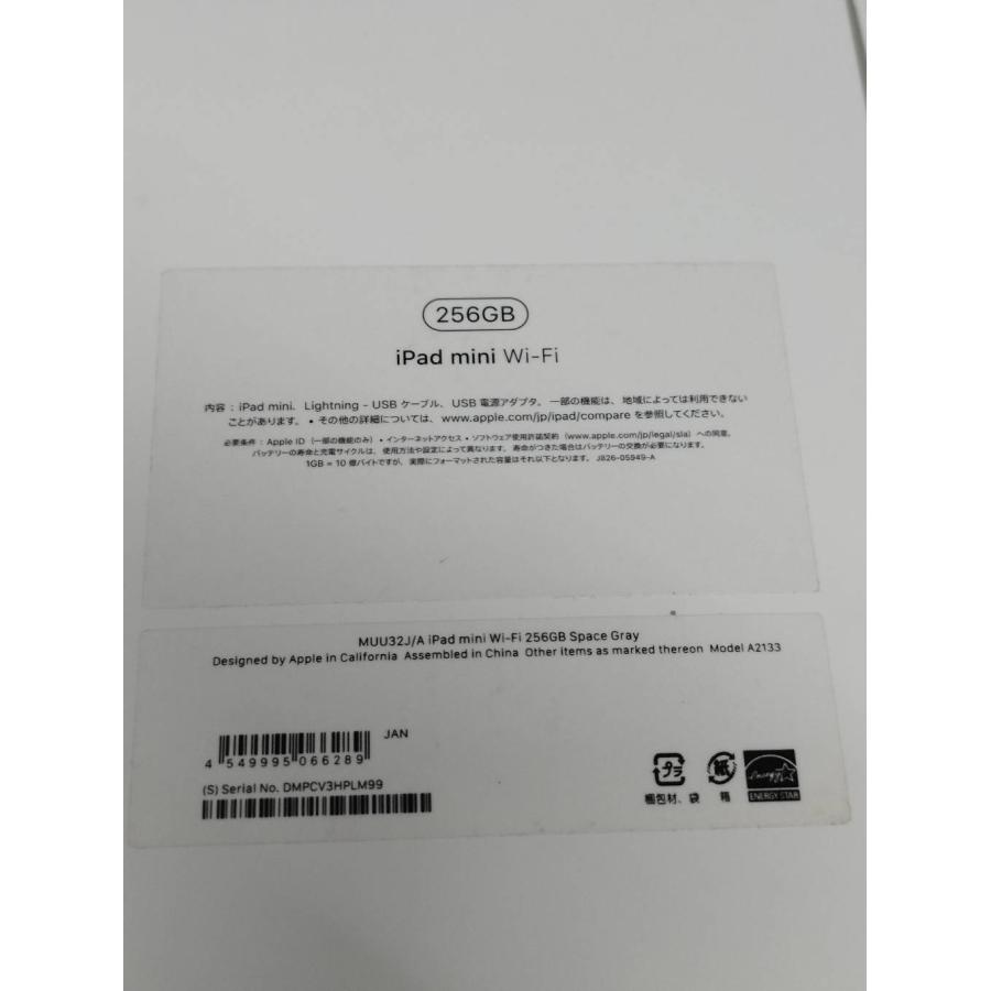 Wi-Fiモデル】iPad mini 第5世代/256GB/A2133〈MUU32J/A〉 : 中古