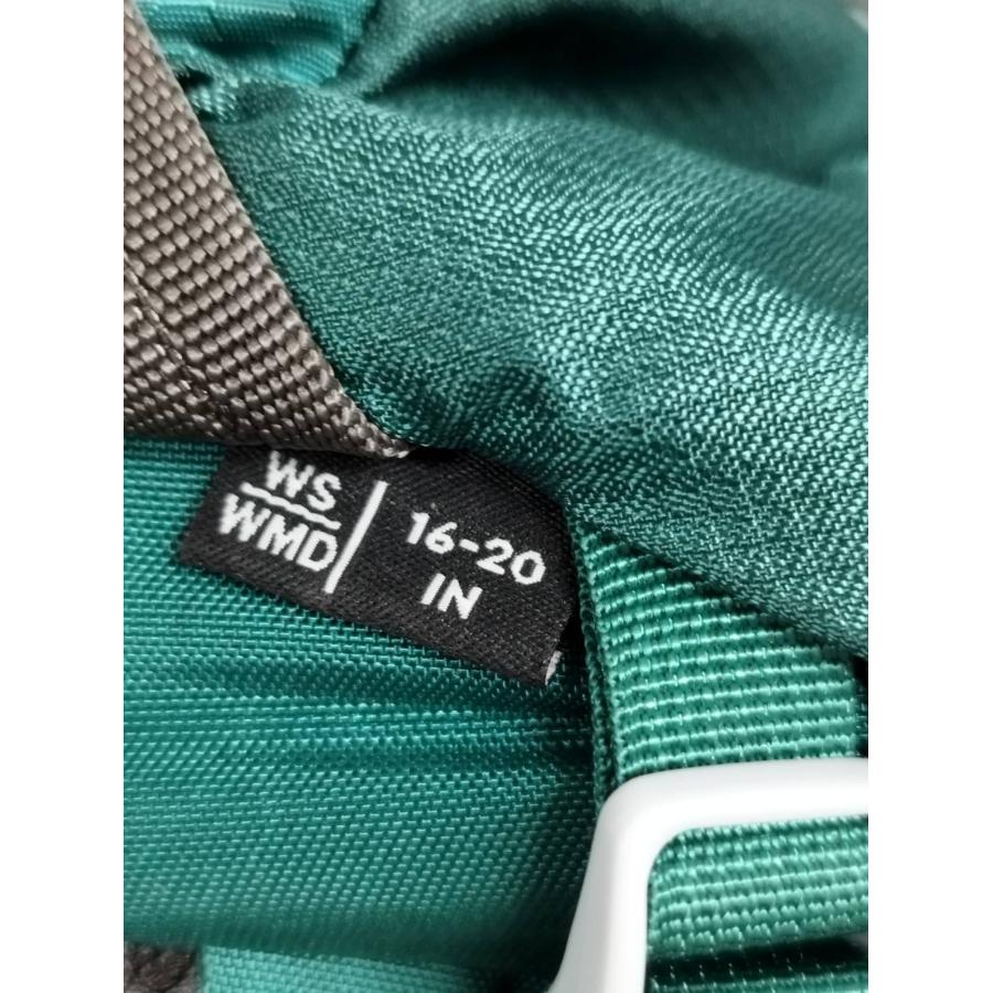 【良品】GREGORY グレゴリー JADE 33/バックパックの画像
