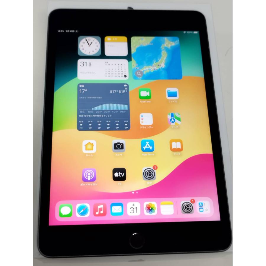 超美品 iPad mini 第5世代 64GB WiFi版 MUQX2J/A iPad mini Apple アップル MUQX2J/A 第5世代 Wi-Fiモデル 64GB