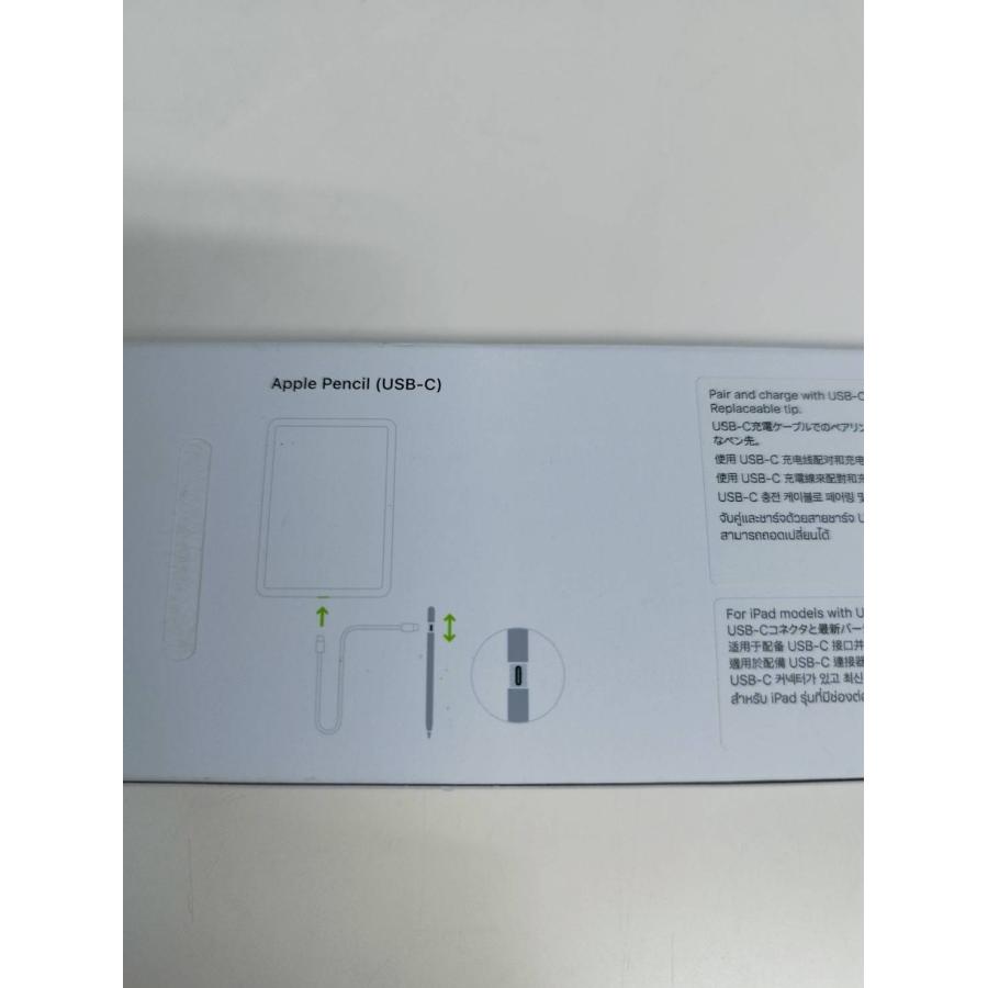 Apple Pencil USB-C/A3085/アップルペンシル〈MUWA3ZA/A〉 : 中古