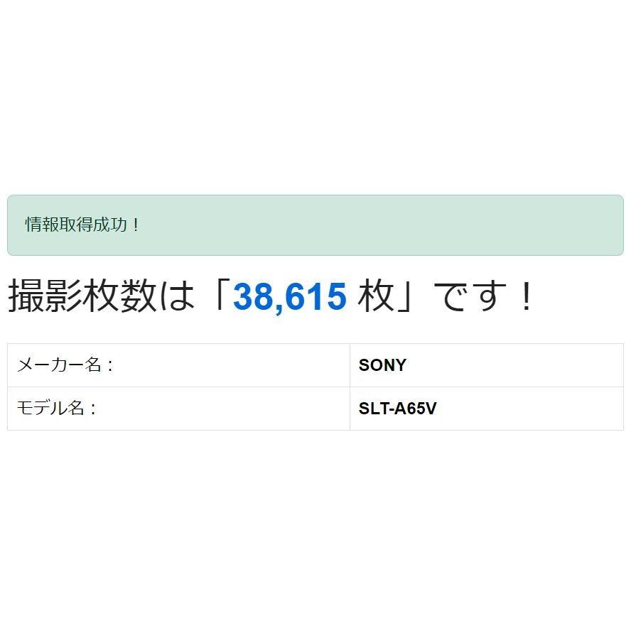ジャンク品】SONY/α65/レンズ付き/デジタル一眼レフ (4) : 中古