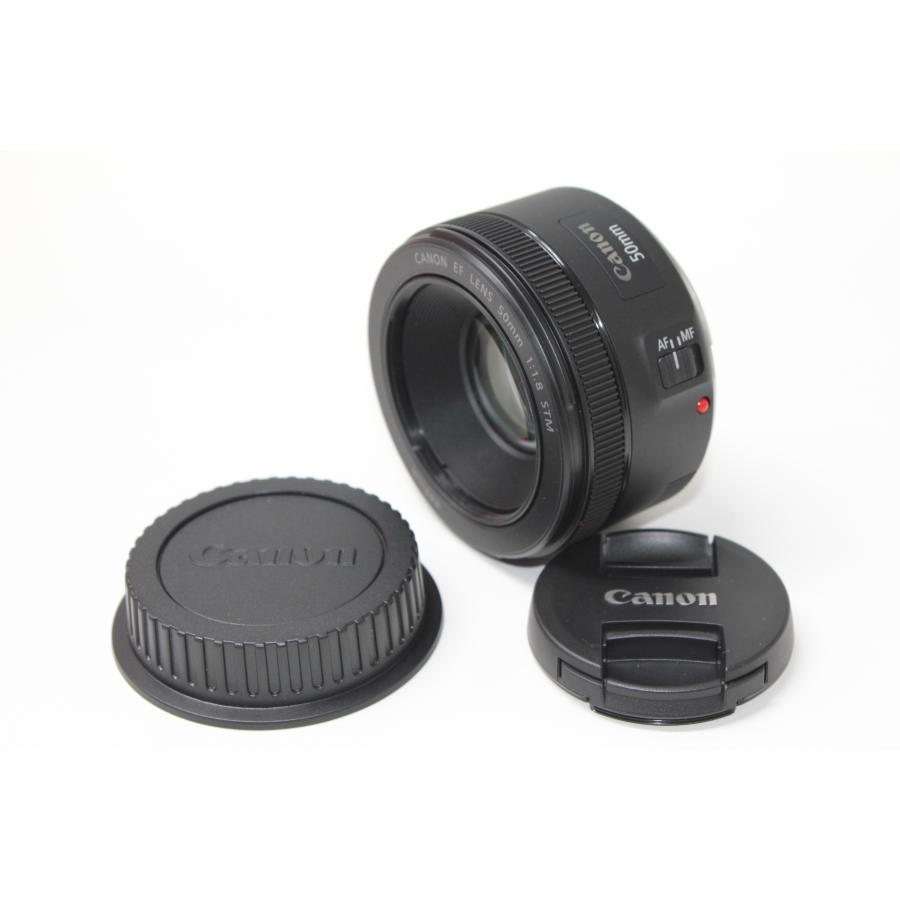 Canon/EF50mm F1.8 STM/単焦点レンズ (6) | 