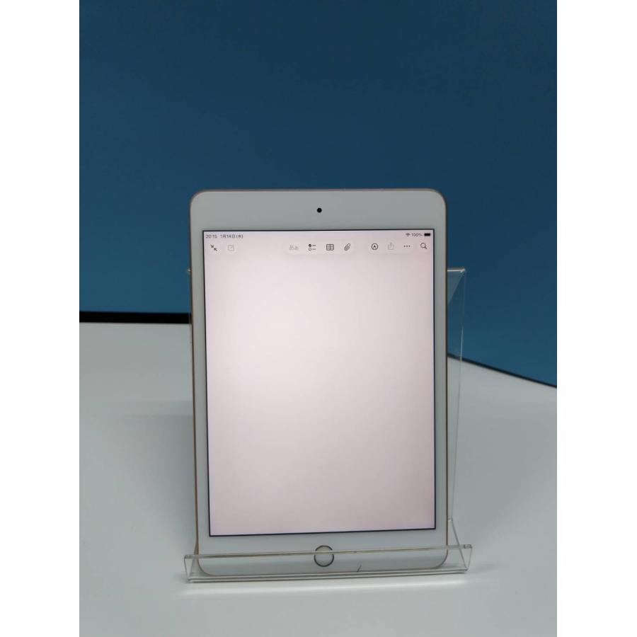 Wi-Fiモデル】iPad mini 第5世代/256GB/A2133〈MUU62J/A〉 : 中古
