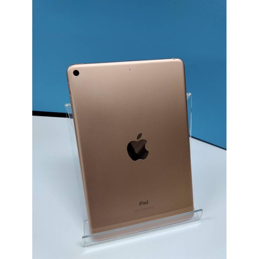 Wi-Fiモデル】iPad mini 第5世代/256GB/A2133〈MUU62J/A〉 : 中古