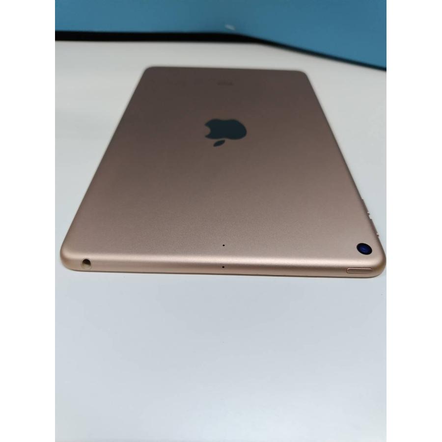 Wi-Fiモデル】iPad mini 第5世代/256GB/A2133〈MUU62J/A〉 : 中古