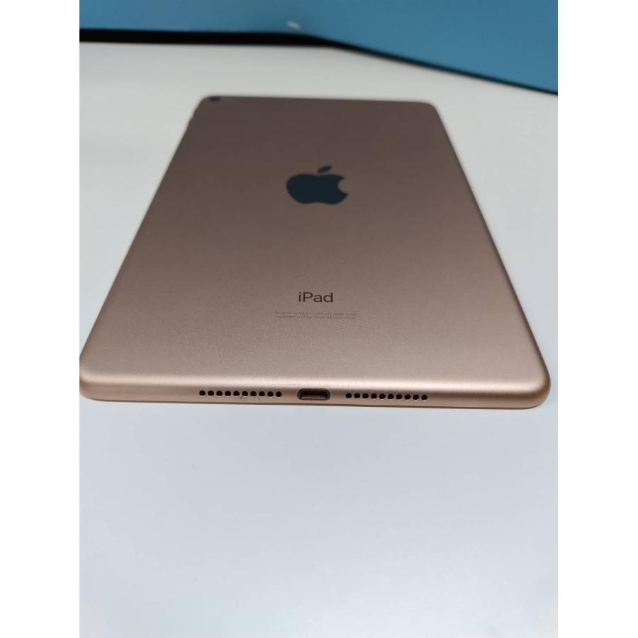 Wi-Fiモデル】iPad mini 第5世代/256GB/A2133〈MUU62J/A〉 : 中古