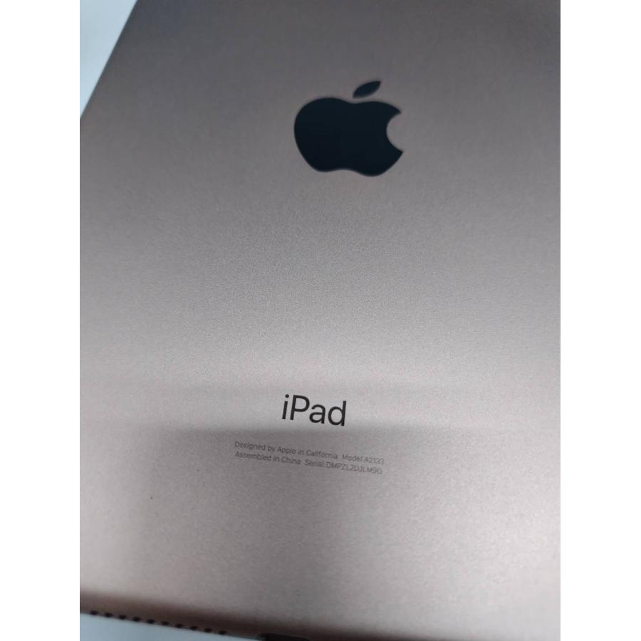 Wi-Fiモデル】iPad mini 第5世代/256GB/A2133〈MUU62J/A〉 : 中古