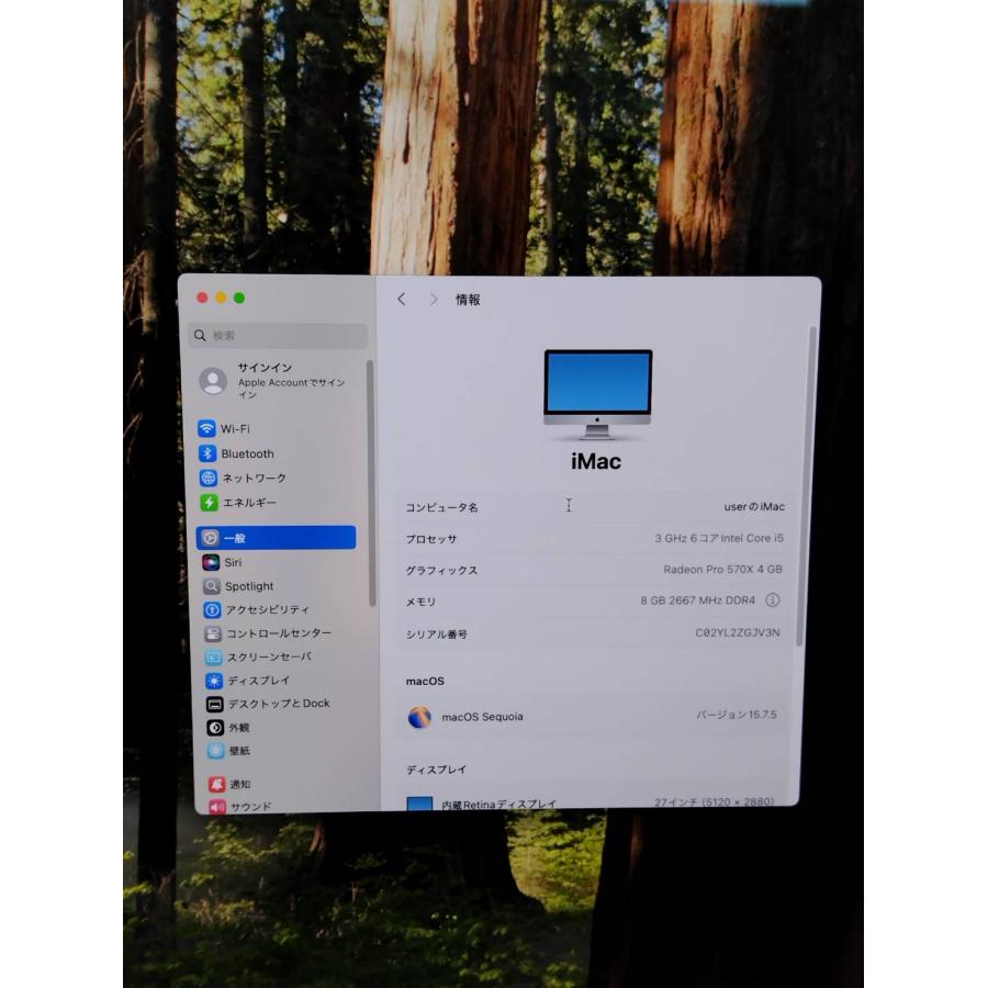 iMac（Retina 5K,27インチ,2019年モデル）1TB/8GB〈MRQY2J/A〉 : 中古 