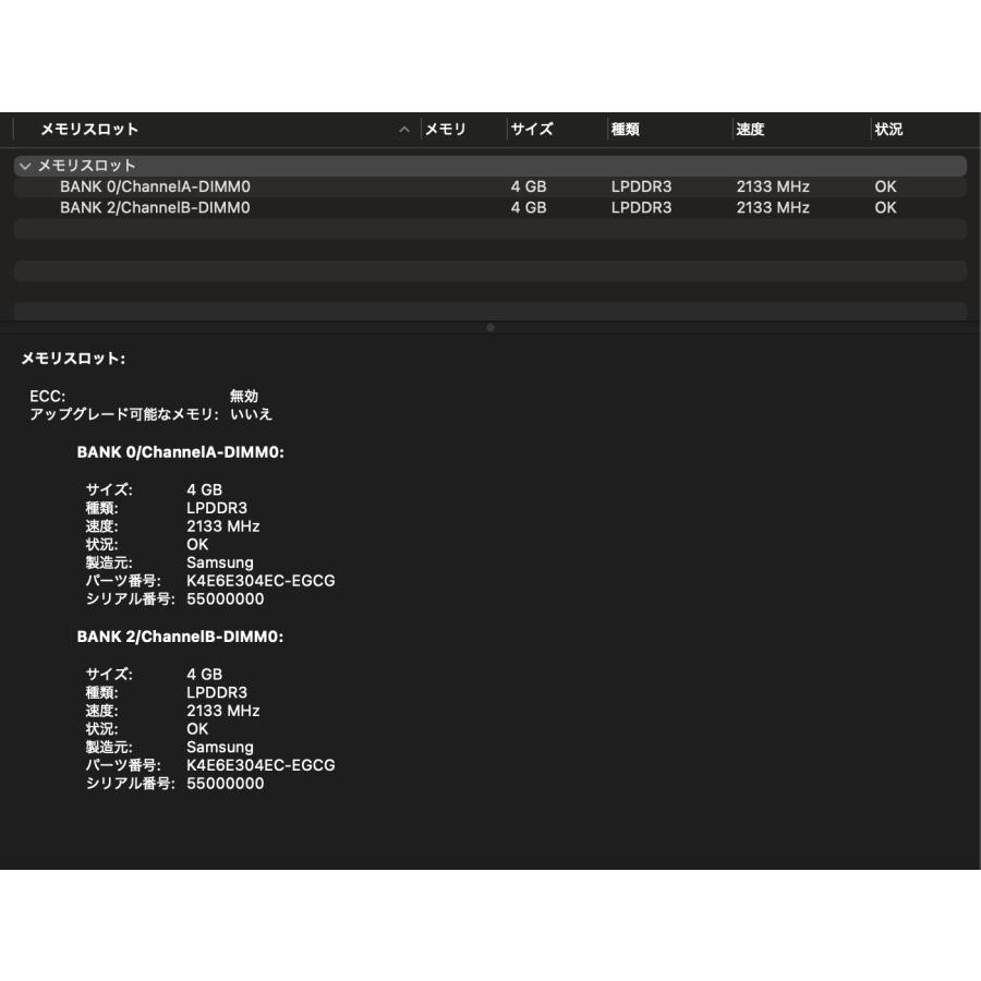 MacBook Pro（13インチ,2019,Thunderbolt 3ポートx 2）256GB/8GB 