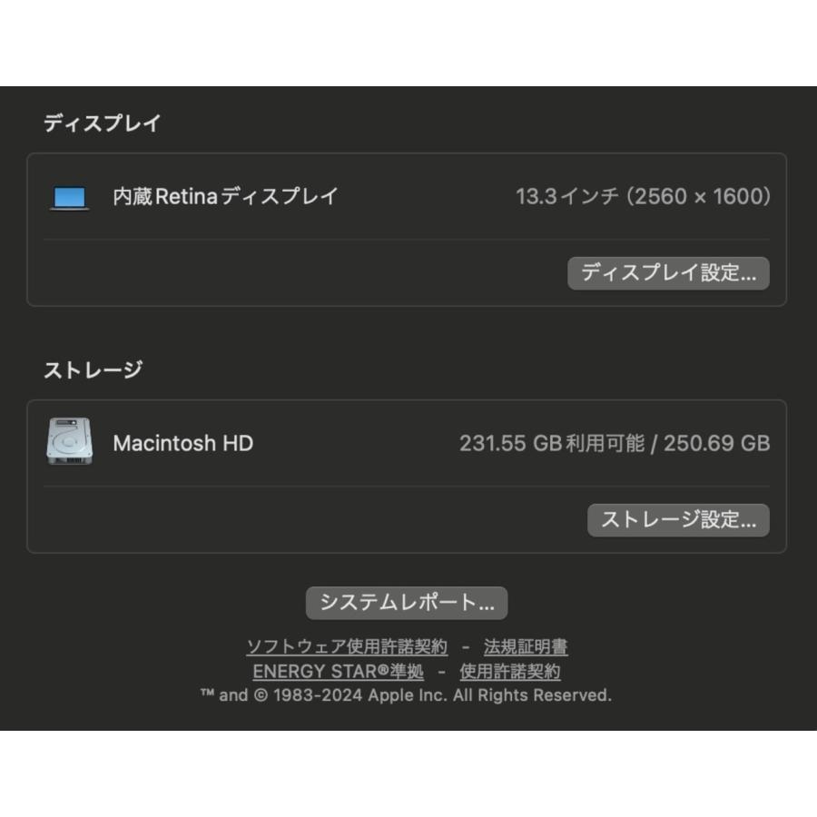 MacBook Air（Retina,13インチ,2018）256GB/8GB〈MRE92J/A〉(5) : 中古