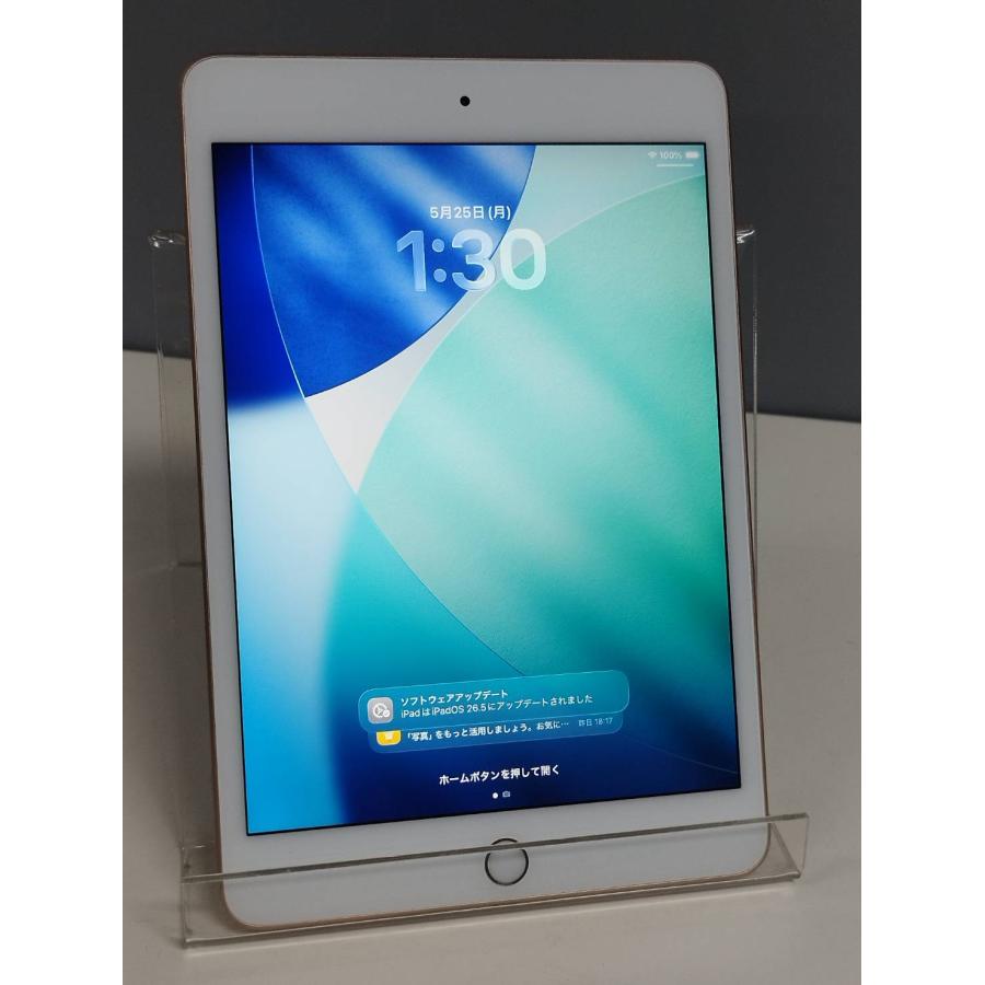 Wi-Fiモデル】iPad mini 第5世代/7.9インチ/A2133/64GB〈MUQY2J/A